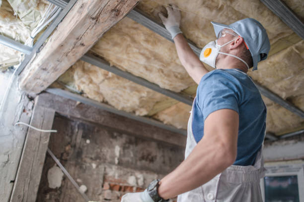 Best Insulation Maintenance and Repair in Shokan, NY